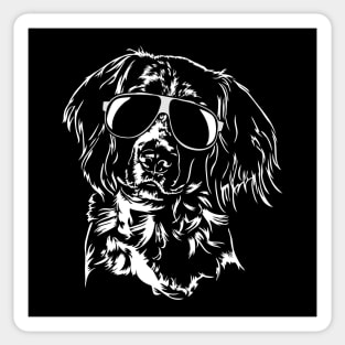 Funny Proud Small Munsterlander sunglasses cool dog Sticker